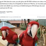 France Info Parrot World mai 2021